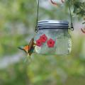 Outdoor Hanging Bird Feeder Clear Reservoir Design Bird Feeder