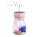 Micro-landscape Humidifiers, for Car Bedroom Office Desk(pink)
