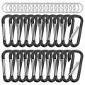 20pcs 2.28inch D Ring Carabiner Clip Keychain, for Camping Fishing