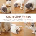 10 Pieces Cat Chew Toy Silvervine Chew Stick for Indoor Adult Cat