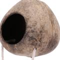 Natural Coconut Husk with Ladder for Bird Shell Hideaway Habitat 2