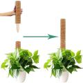 12inch Moss Poles with Tags for Plants Climbing to Grow Upwards