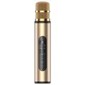Bluetooth Mic Dsp Karaoke Dual Speake for Pc Iphone Android Gold