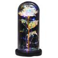 Artificial Permanent Rose Glass Dome with Led Light for Valentine's