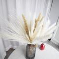 70pcs Natural Dried Pampas Grass Boho Table Decor - Up to 18inch Tall