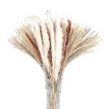 60pcs Natural Pampas Grass Stems 17 Inch for Bedroom, Living Room