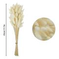 50pcs Rabbit's Tail Grass,17inch Dried Pampas Grass for Home (white)