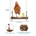 6 Packs Chicken Toys,chicken Xylophone Toys for Hens,chicken Swing