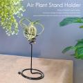 Plant Holder, Iron Spiral Flower Stand, Holder for Displaying Plant