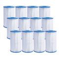 12 Pack Type A Or C Filter Cartridge for Intex 29000e/59900e