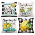 Summer Decorations for Home Farmhouse Throw Pillows Cushion Case