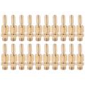 10pcs 1/8 Inch Dn6 Brass Gushing Spray Water Fountain Nozzles