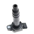 Ignition Coil O-em 90919-02248 Fit for Toyota Tacoma T-undra Scion Xb