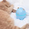 Air Humidifier Pet Mini Household Small Usb Led Night Lamp ,blue