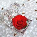 Handmade Preserved Rose with Acrylic Crystal Ring Box (red)