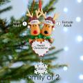 Family Christmas Tree Family Set Gift (christmas Deer, Family Of 2)