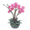 1/12 Doll House Miniature Phalaenopsis Potted Toy for Dollhouse Decor
