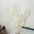 45cm Dried Forever Preserved Ruscus Flowers Diy for Home Decor