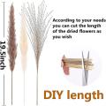 66 Pcs Natural Dried Pampas Grass with 3 Colors Fluffy Diy Boho Plant