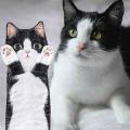 Cat Funny Hand Washing Towel Bathroom Kitchen Lovely Decorative,a