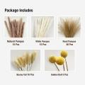 Natural Dried Flower Bouquet Dried Pampas & Bunny Tails Bouquets