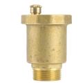 Brass Automatic Air Vent Valve 3/4 Inch Male Thread for Solar Water