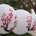 12-inch Cherry Blossom Chinese Paper Lanterns (set Of 5, Red Sakura)