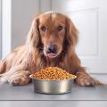 Dog Bowls with Silicone Base, Dog Food Bowls, (2 Pack 14 Cm, Black)