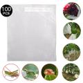 100pcs Garden Plant Fruit Cover Protect Net Mesh Bag Against Insect