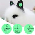 100pcs Plastic Animal Livestock Ear Tag for Rabbit Fox Dog (green)