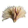 55 Pcs Reed Pampas Set Dried Flower for Arrangements Home Decor