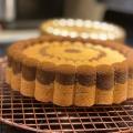 Charlotte Cake Pan,10 Inch Cake Pan for Baking Fluted Cake Pan Mold