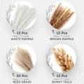 75 Pieces Natural Reed Pampas Bouquets, Perfect for Home Decor