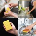 Palm Fiber Scrubber Sponge with Biodegradable Compostable Sponges