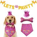 Dog Birthday Bandana Hat Bone Toy Dog Party Set Happy Birthday (pink)