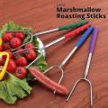 Extendable Telescopic Stainless Steel Smores Sticks Skewers