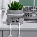 Artificial Potted Plant Fake Succulent Plant Decor for Desk Shelf C