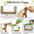 Plant Terrarium with Wooden Stand, for Hydroponics Plants Accessories