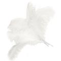10 Pcs Ostrich Feathers Wedding Party Decoration White 45-50cm