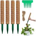 Moss Poles for Climbing Plants- Coir Moss Pole with 2m Jute Strings