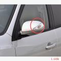 Car Body Door Mirror Turn Lamp Sa00-69-182m1 for Haima 7 2010-2015