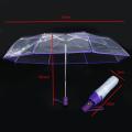 Transparent Umbrella Automatic Umbrella Compact Folding,transparent & Purple Border