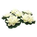 6pcs Artificial Foam Lotus Flowers,ivory White,perfect for Patio