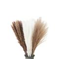 80pcs Natural Dried Pampas Grass, Bouquet for Home Decor Weedding
