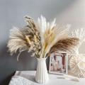 72 Pcs Reed Pampas Set Dried Flower for Arrangements Home Decor