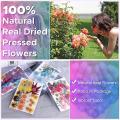 144pcs Natural Dried Pressed Flowers for Resin,for Candle,epoxy Resin