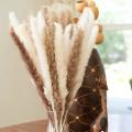 Dried Pampas Grass for Home Decor,faux Pampas Grass,white ,brown Mini