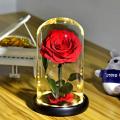 Forever Preserved Flower In Glass Dome Lamp for Gift Box,red