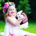 Rabbit Harness Lead Soft Harness for Rabbits Mesh (l, Pink)
