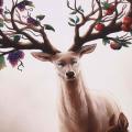 Wall Deer Stag with Long Antler Bloom and Bear Fruit Pictures Prints